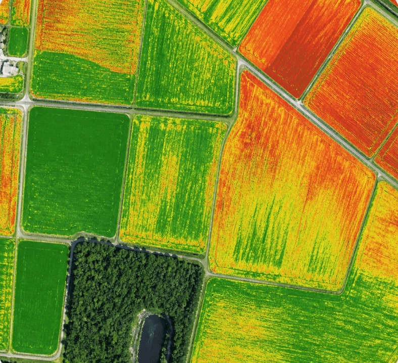 Farm aerial view